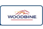 horse racing betting